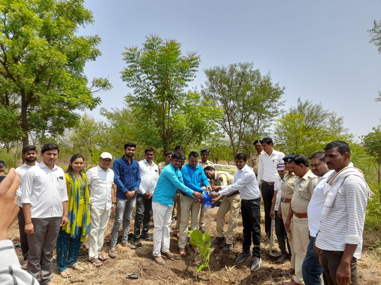 छत्रपती शाहू-फुले-आंबेडकर कृषी महाविद्यालय आष्टी येथे जागतिक पर्यावरण दिन साजरा