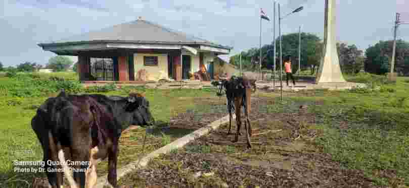 वाघिरा येथिल मराठवाडा मुक्तिसंग्राम हुतात्मा स्मारकाची दुरावस्था कायम गोठ्याचे स्वरूप आणि घाणीचे साम्राज्य;हुतात्म्यांच्याअवमाननाकेल्याबद्दल गुन्हे दाखल करा मुख्यमंत्री,गृहमंत्री यांना निवेदन :- डाॅ.गणेश ढवळे लिंबागणेशकर