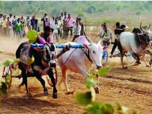 अंबरनाथमध्ये बैलगाडा शर्यतीच्या वादातून अंधाधुंद गोळीबार