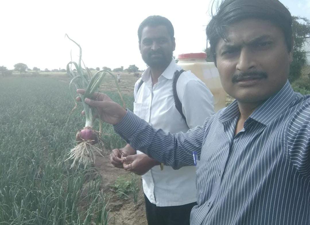 मराठवाड्यात खरीप पीक कर्ज वाटपामध्ये छत्रपती संभाजीनगर जिल्हा प्रथम क्रमांकावर