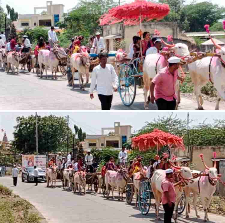 मौजे कासुर्डी गावातील आखाडे खेनट शुभविवाह सोहळ्याच्या निमित्ताने सर्जा राजाची बैलगाडीत नवरी मुलीची मिरवणूक काढून, जुन्या आठवणींना उजाळा दिला 