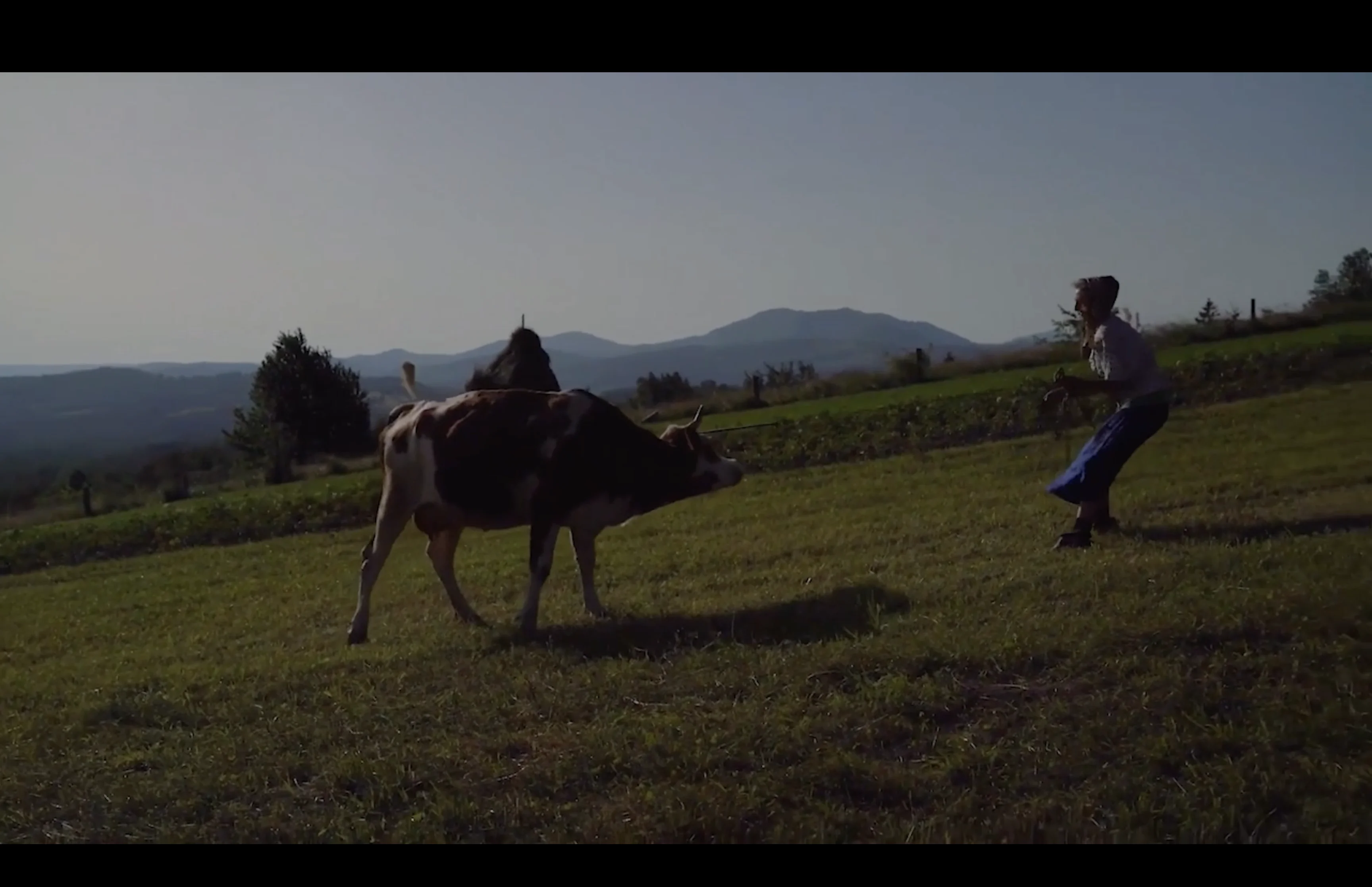 ПЛАЙ frame 2