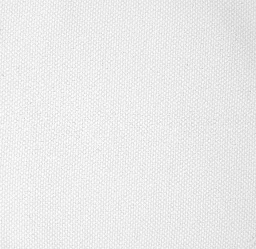 Cool White