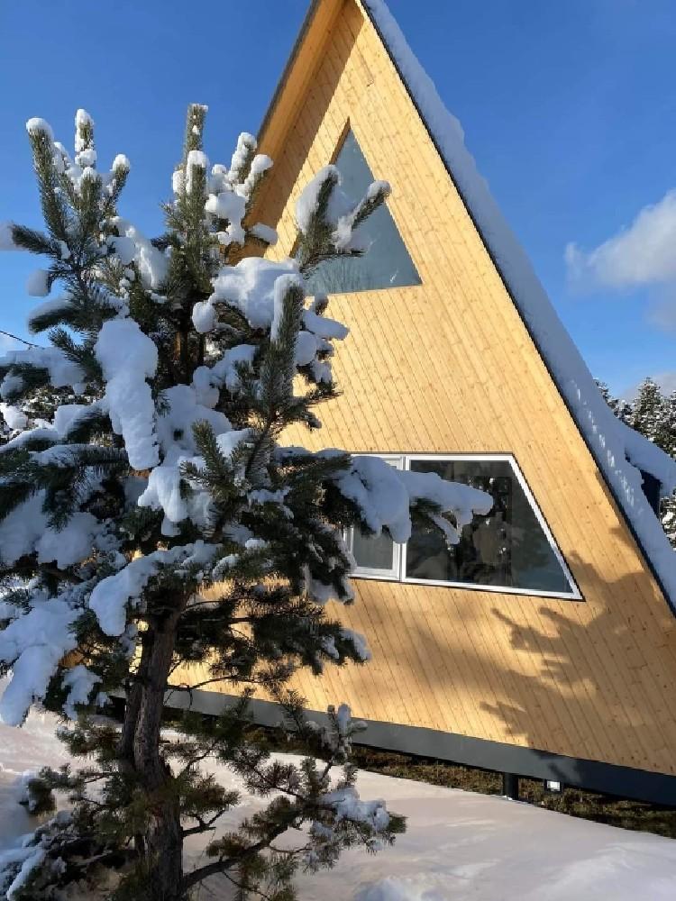 Photo of Abies