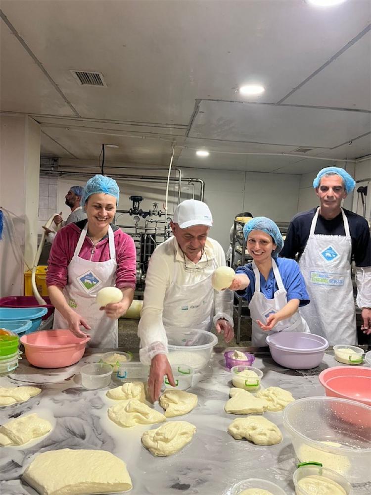 Photo of Cheese degustations in Kakheti,Telavi