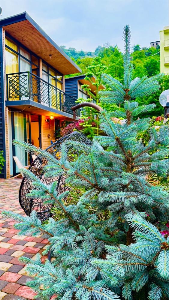 Photo of Cottage Chalet  2