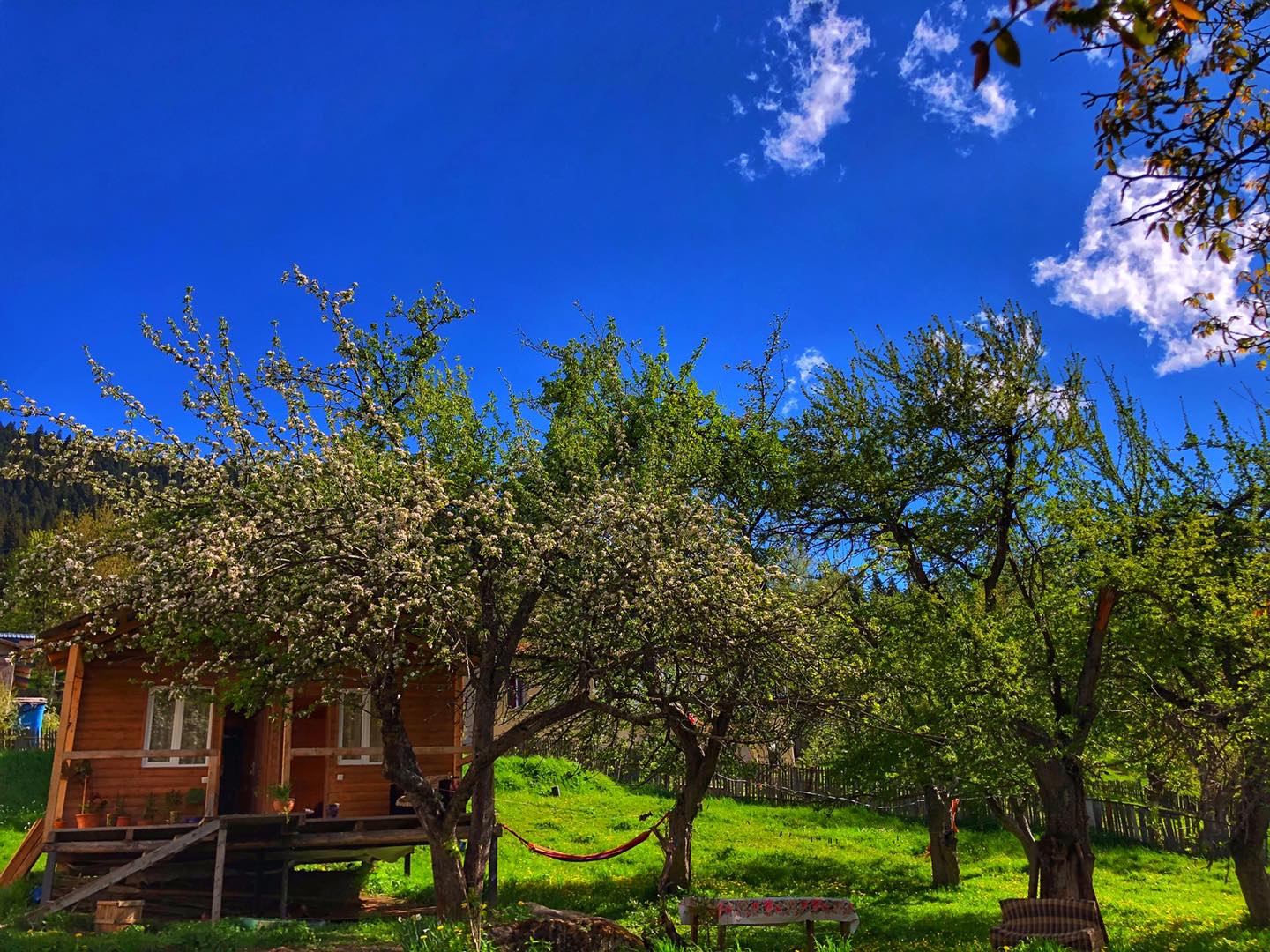 Photo of Deka Cottage