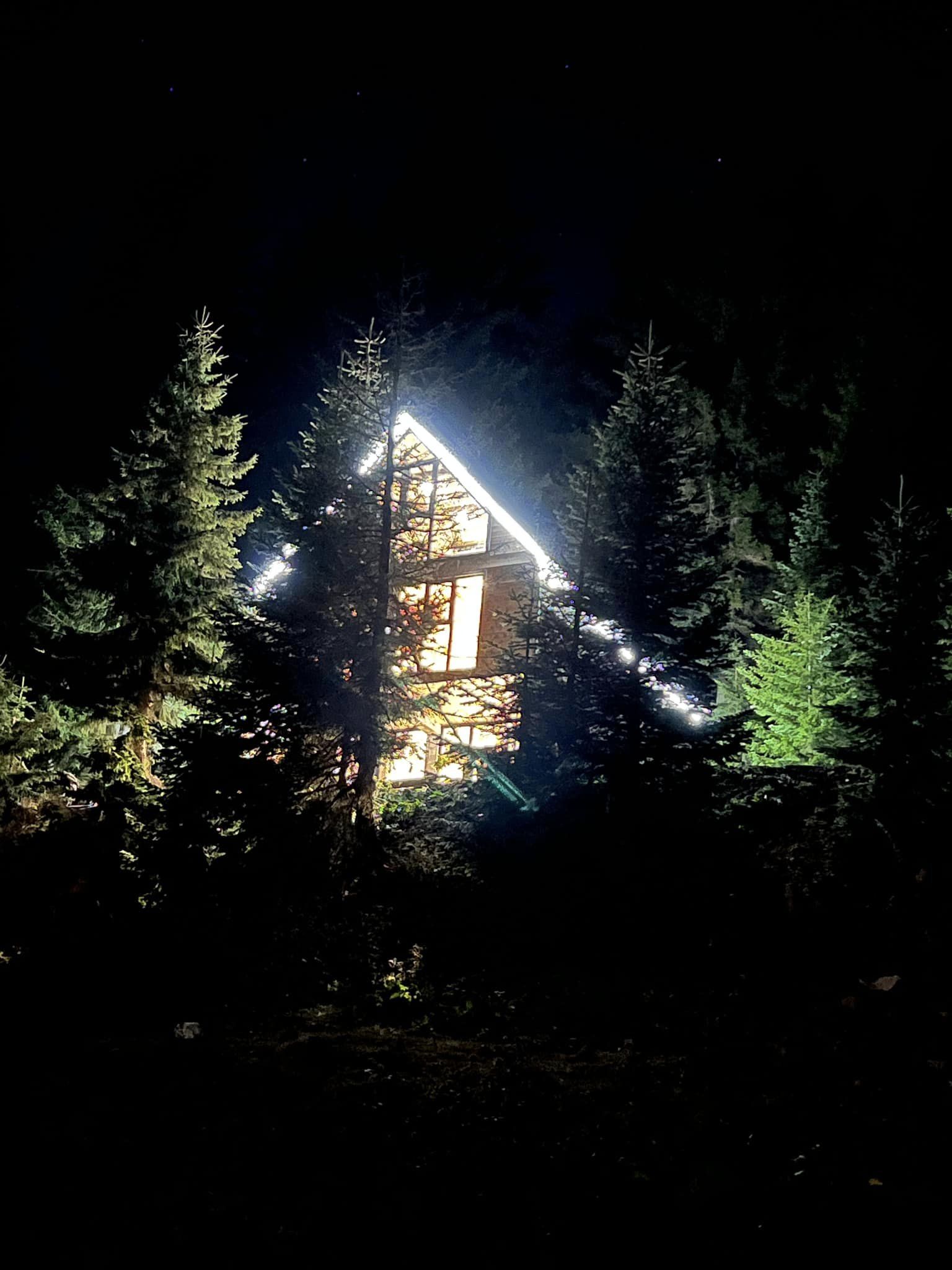 Photo of House in the forest