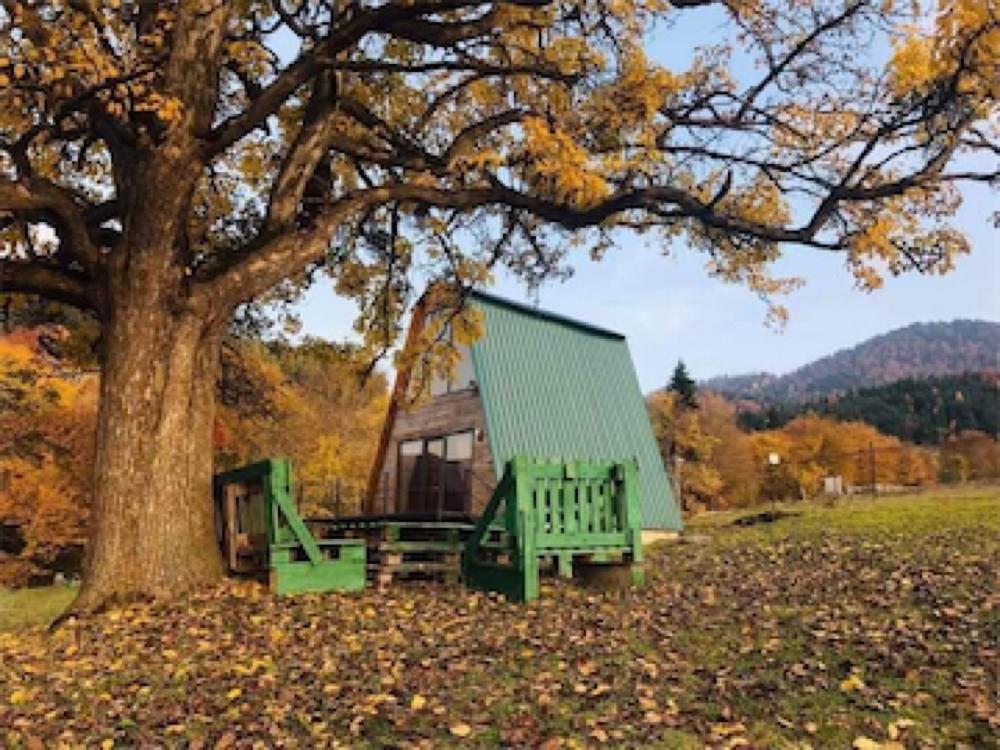 Photo of Hut in the Forest - Qokhi Tkeshi