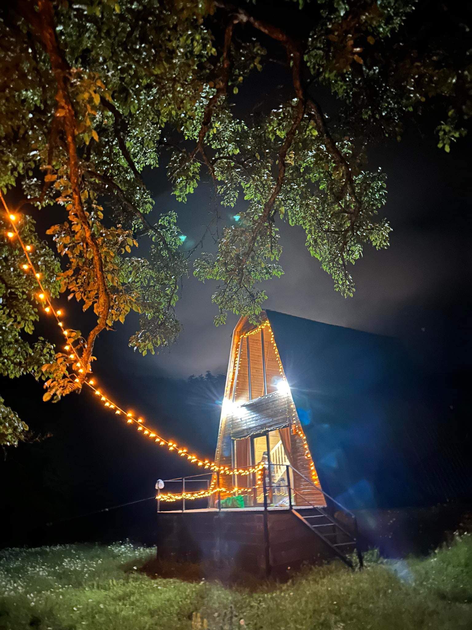 Photo of Hut in the Forest - Qokhi Tkeshi
