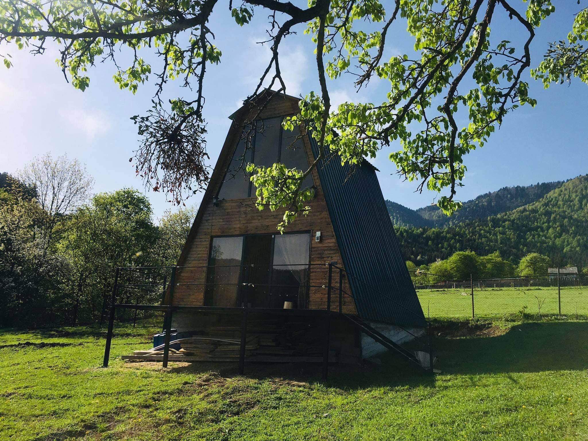 Photo of Hut in the Forest - Qokhi Tkeshi