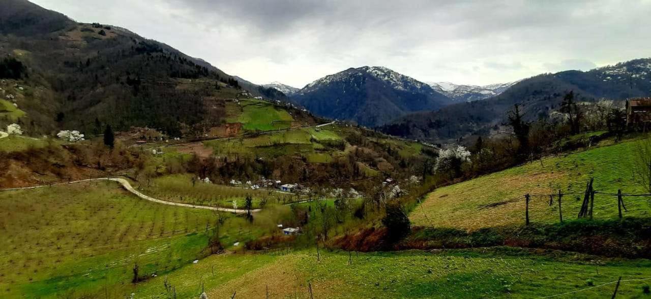 Photo of Sunrise Merisi