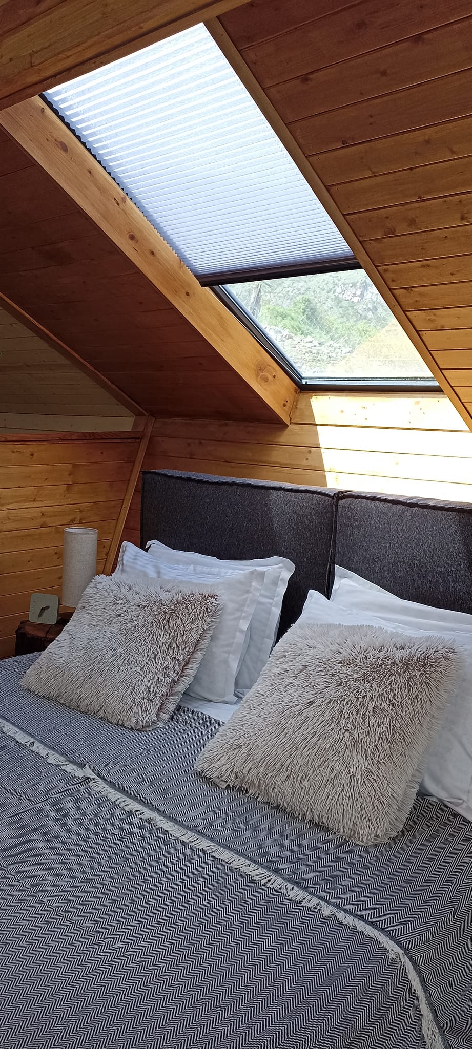 Photo of Cottage Toladi