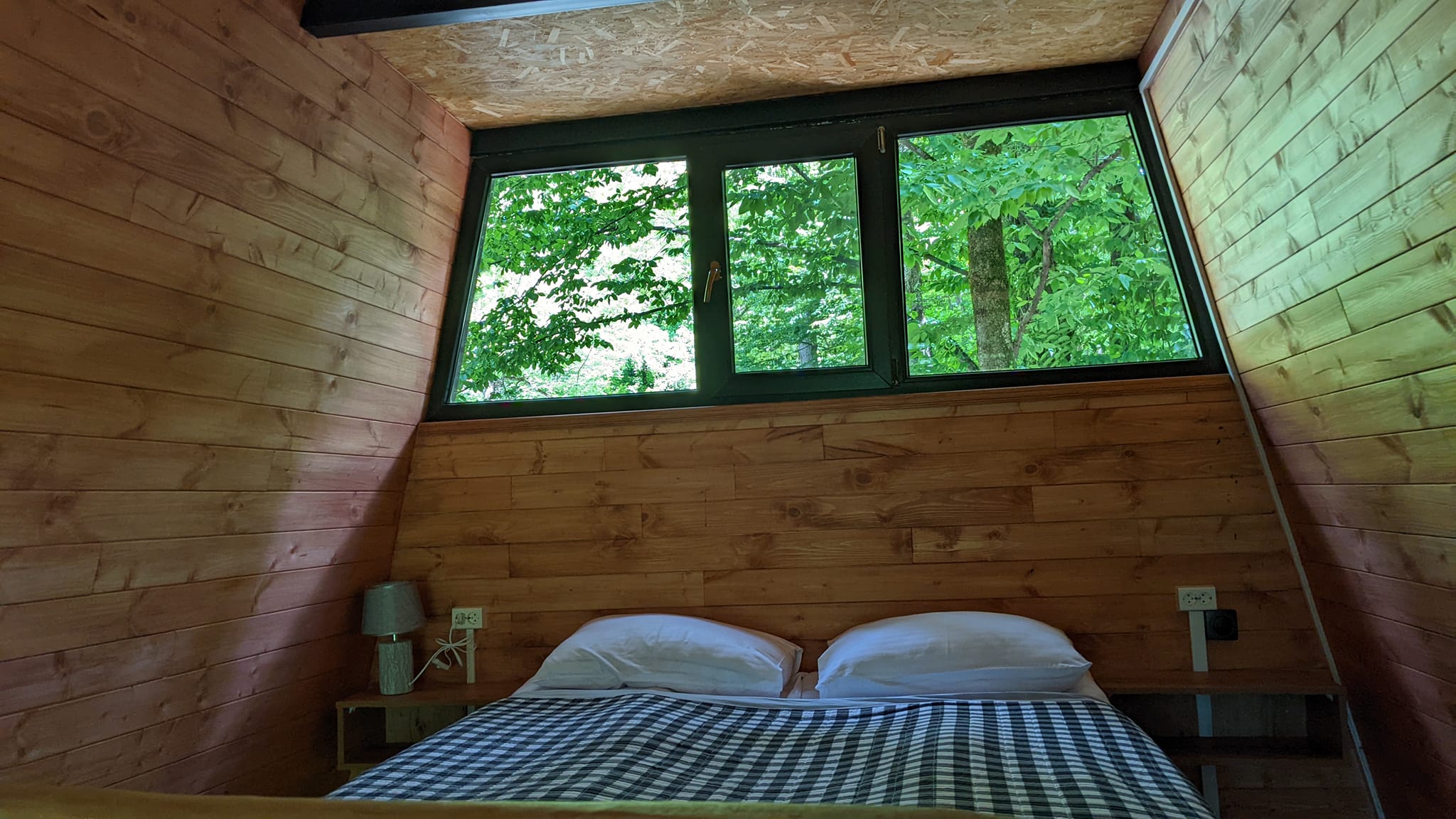 Photo of Eco Village in the forest