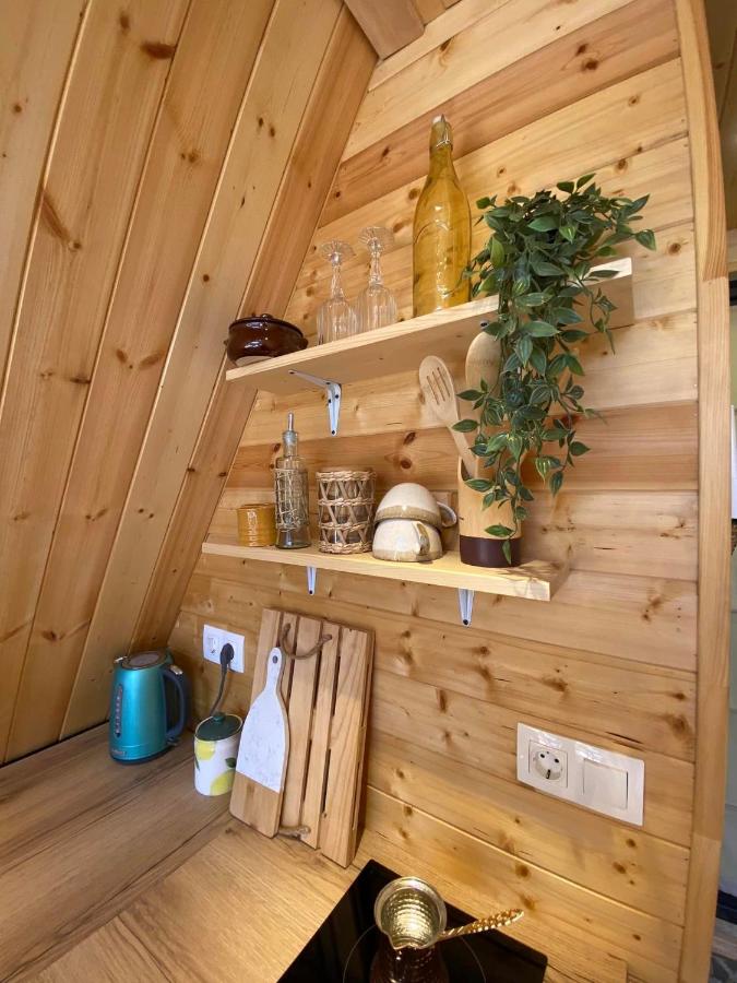 Photo of Roots Svaneti 2