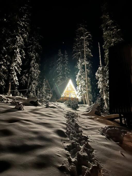 Photo of Woodland