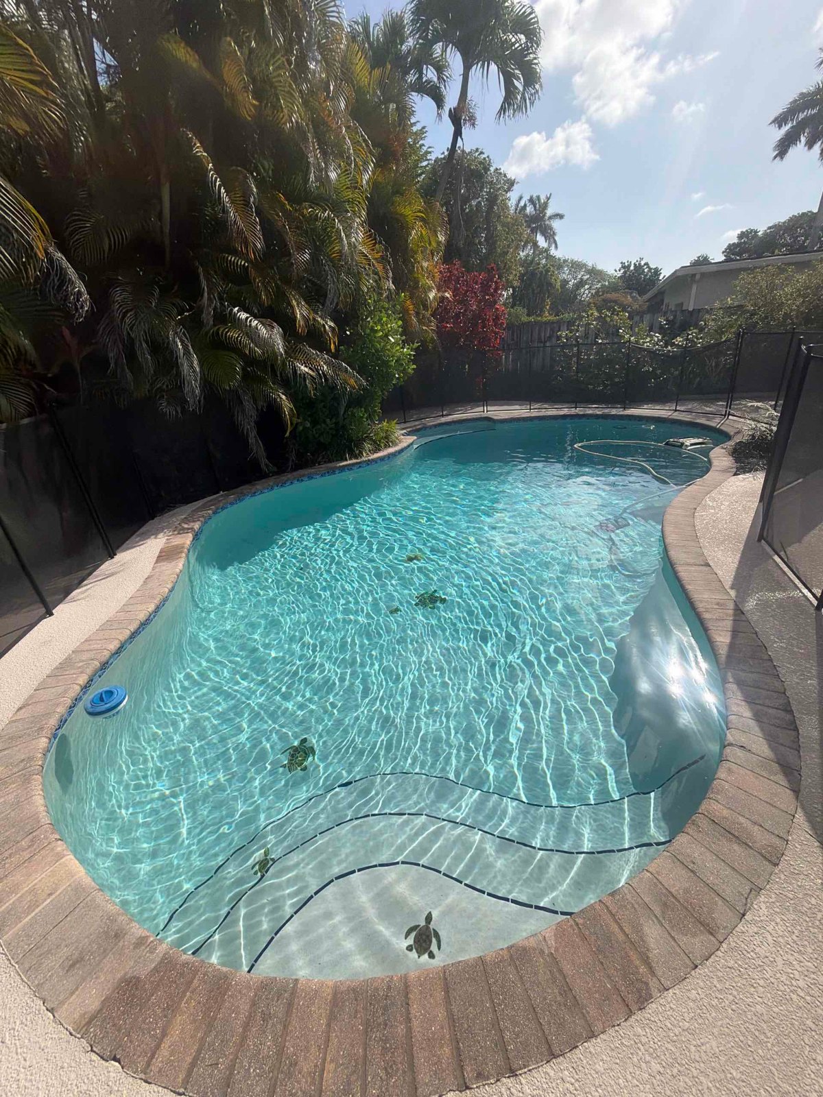 Blue Operator Pool Service photo