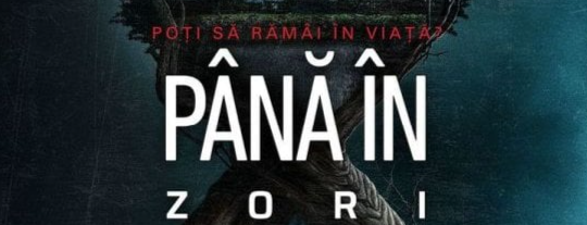 banner image