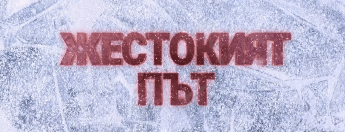 banner image
