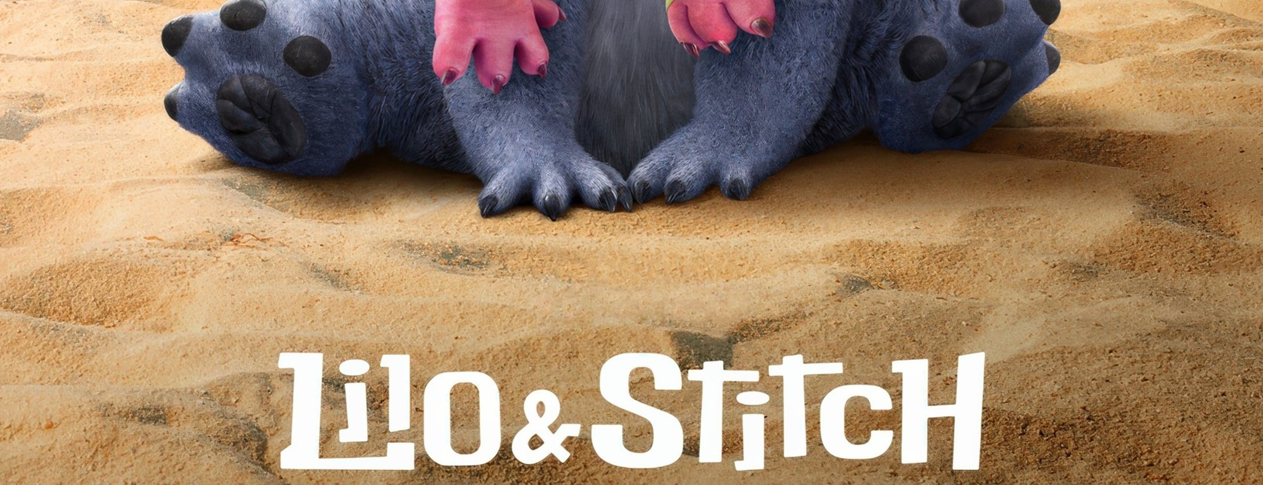 banner image