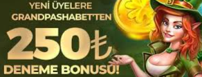 banner image