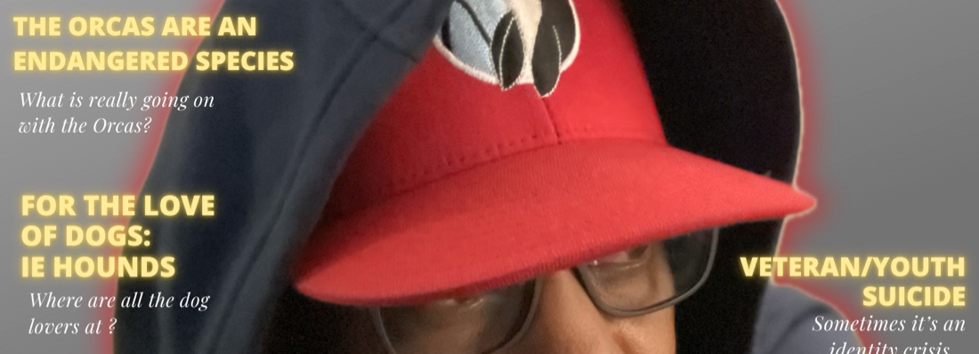 banner image