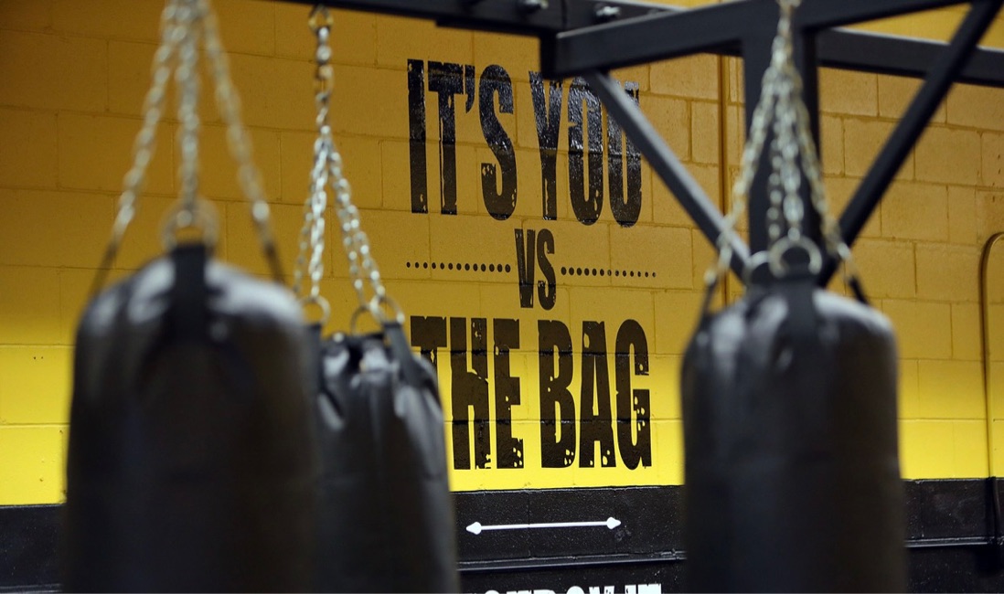 banner image