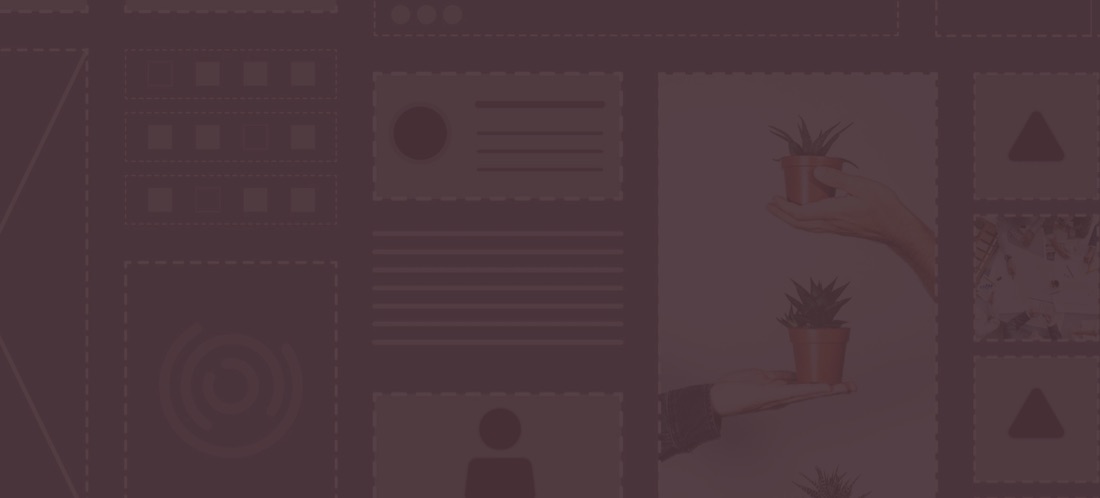 banner image