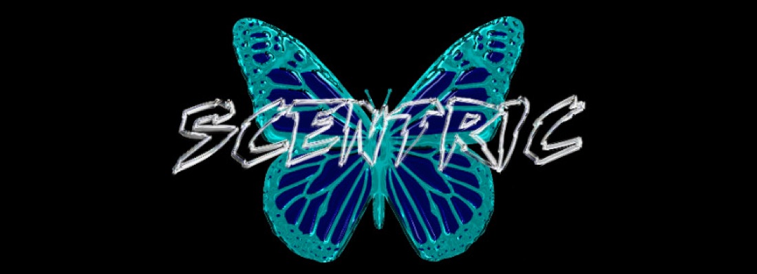 banner image