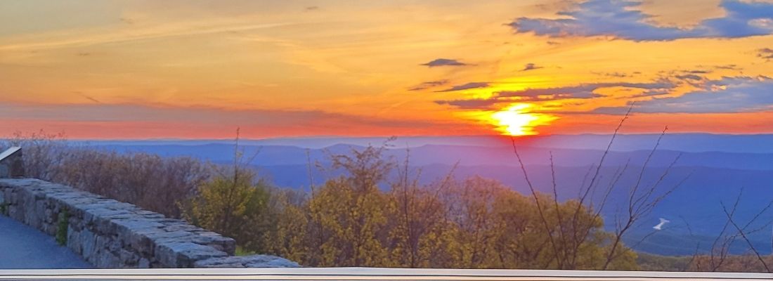banner image