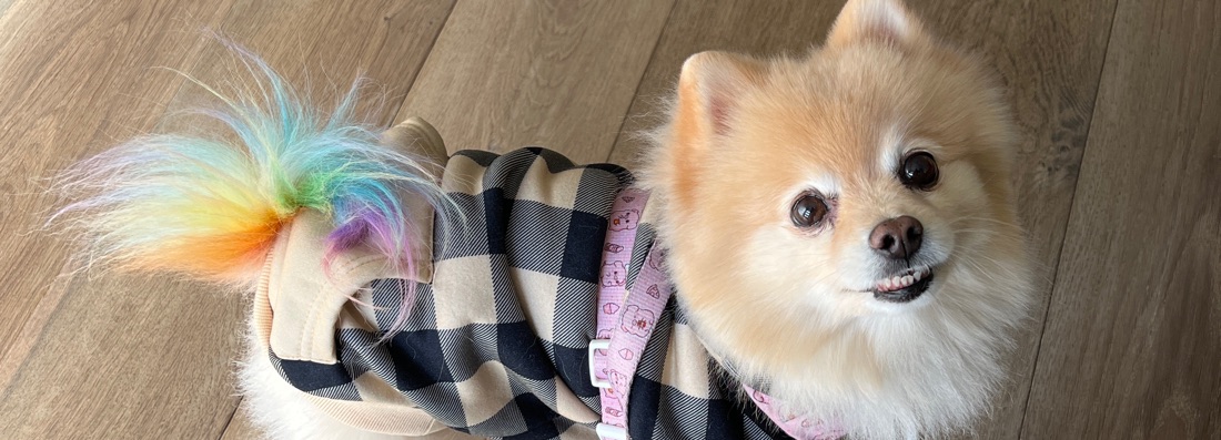 banner image