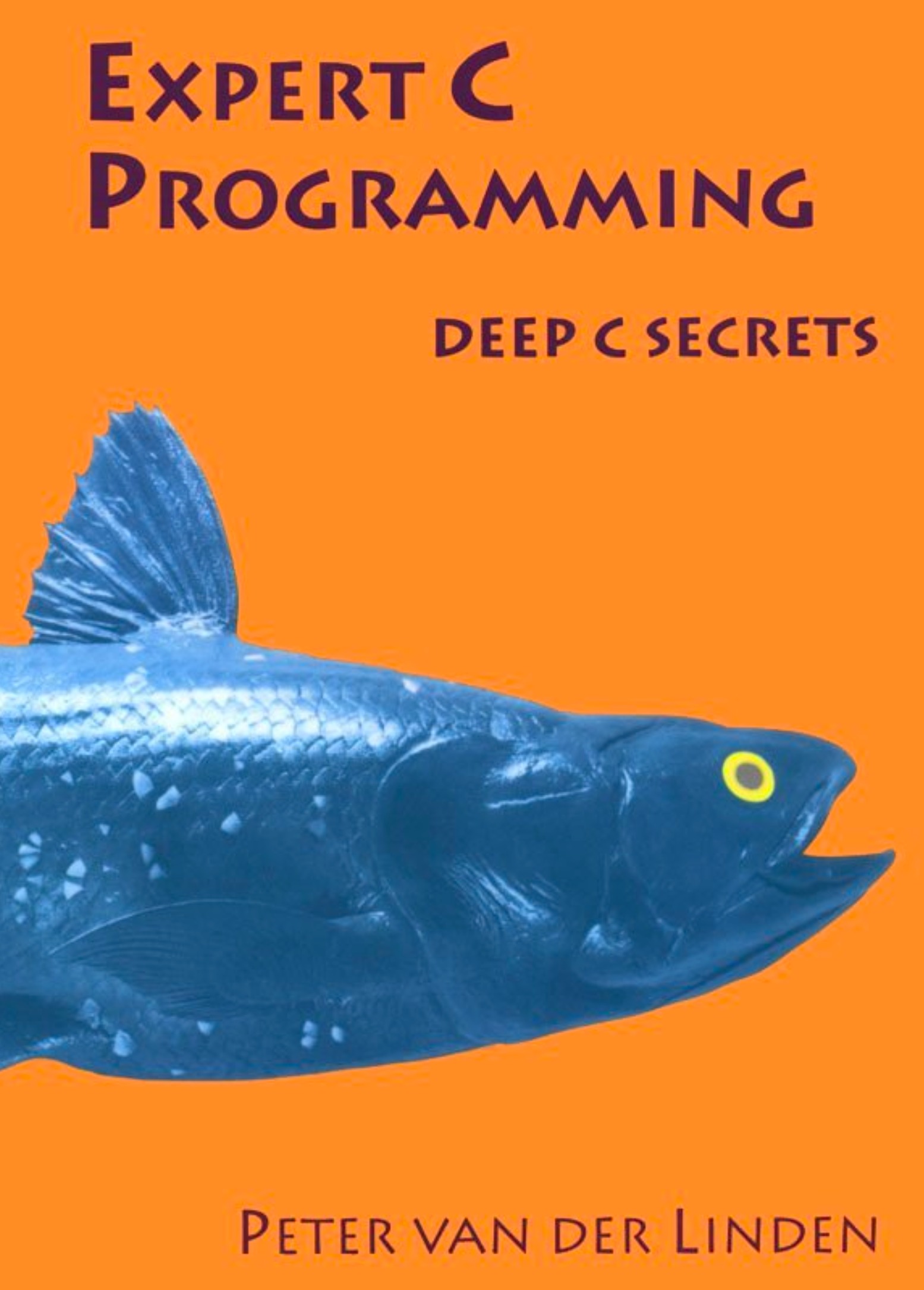 Expert C Programming Deep C Secrets