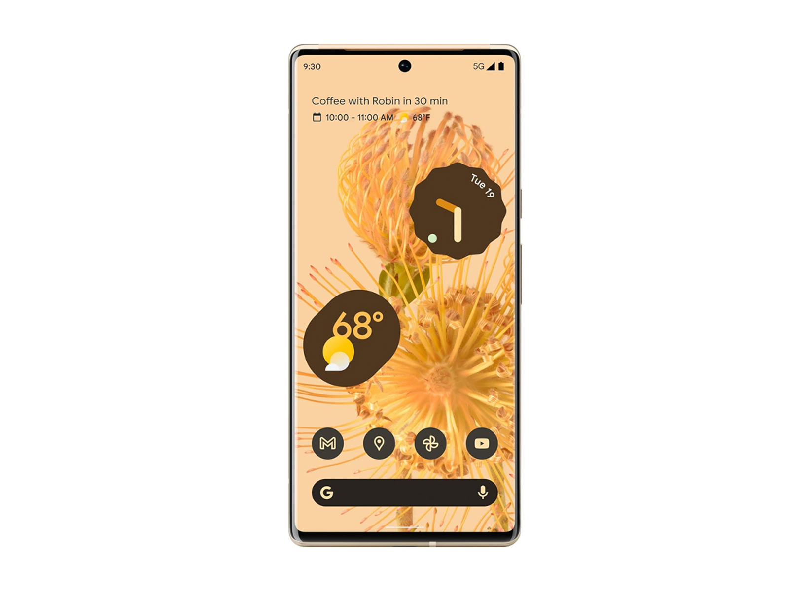 Pixel 6 Pro