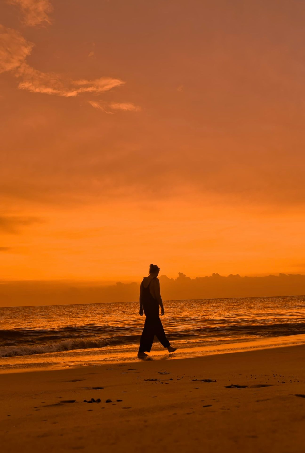 c4c241d7 1fd1 44d9 953b 7568e15b2e2a