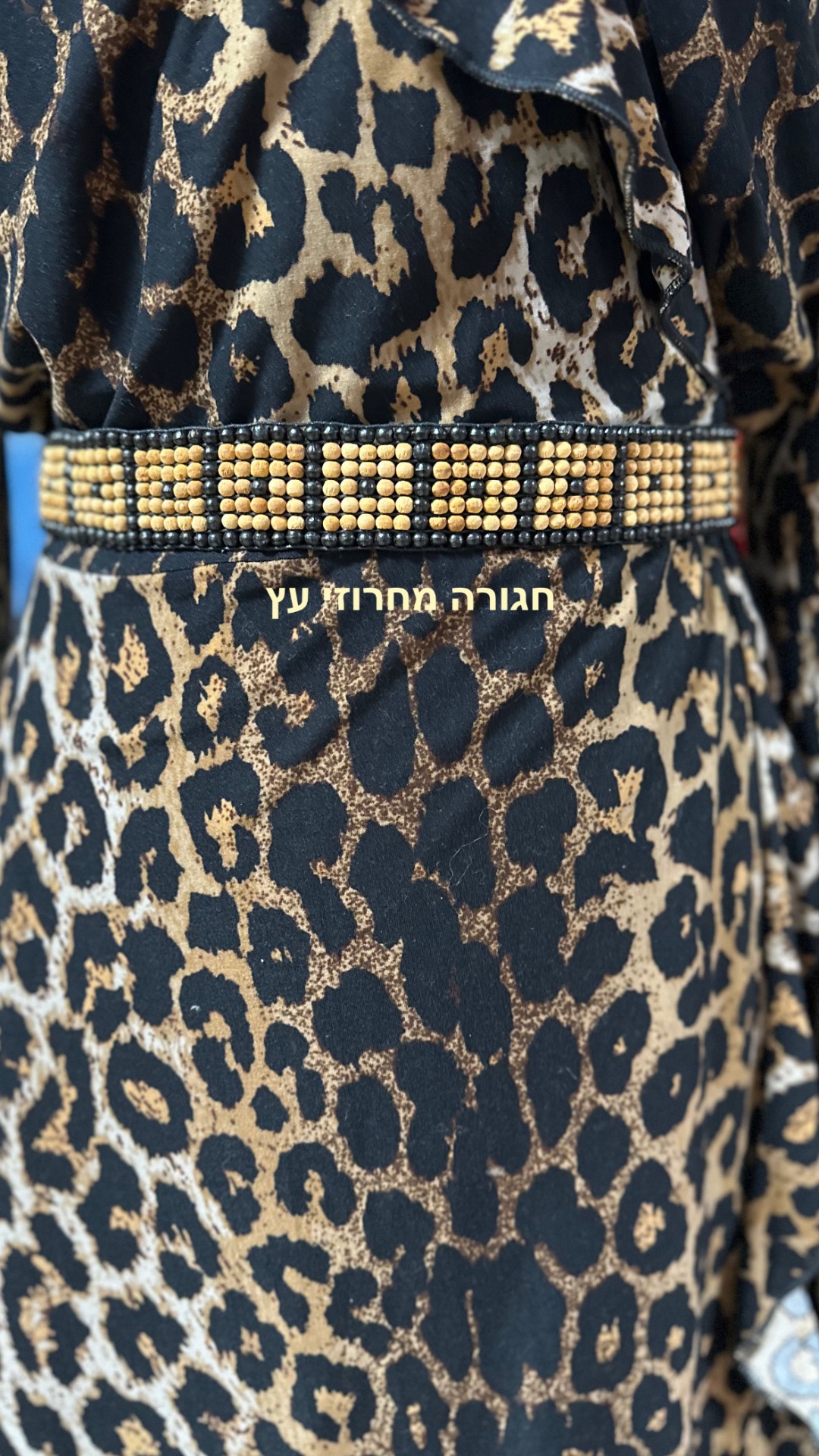 96B670DB BF17 455D 81AF EA5F036DC496