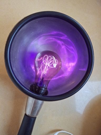 inbound8268221749626203936