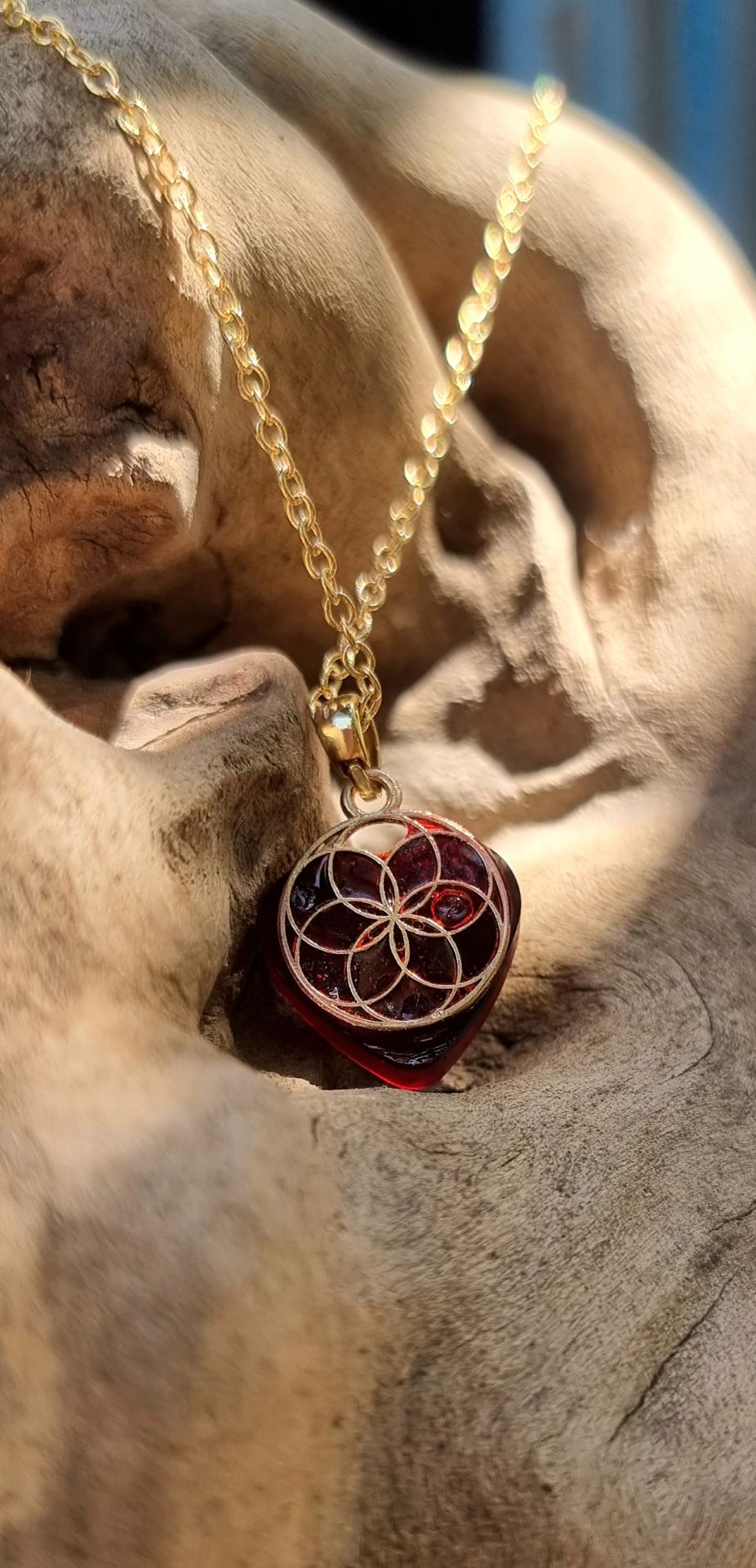 20250820 122215 copy