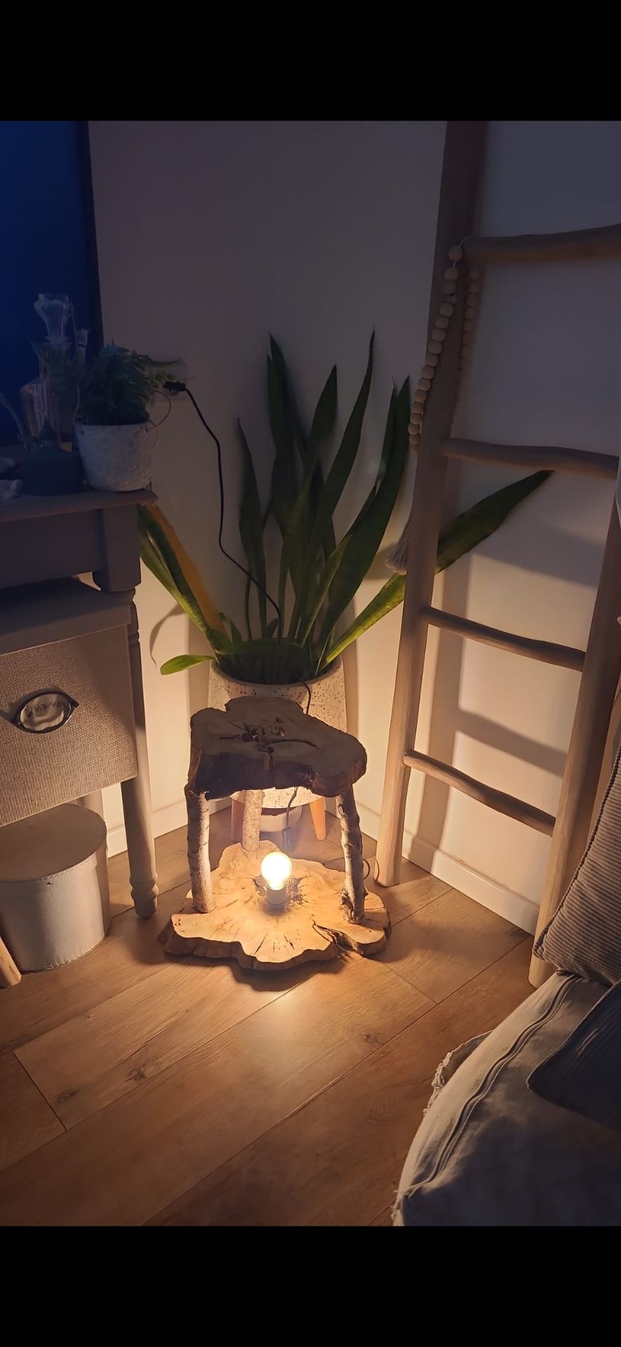 Screenshot 20250223 210439 Gallery