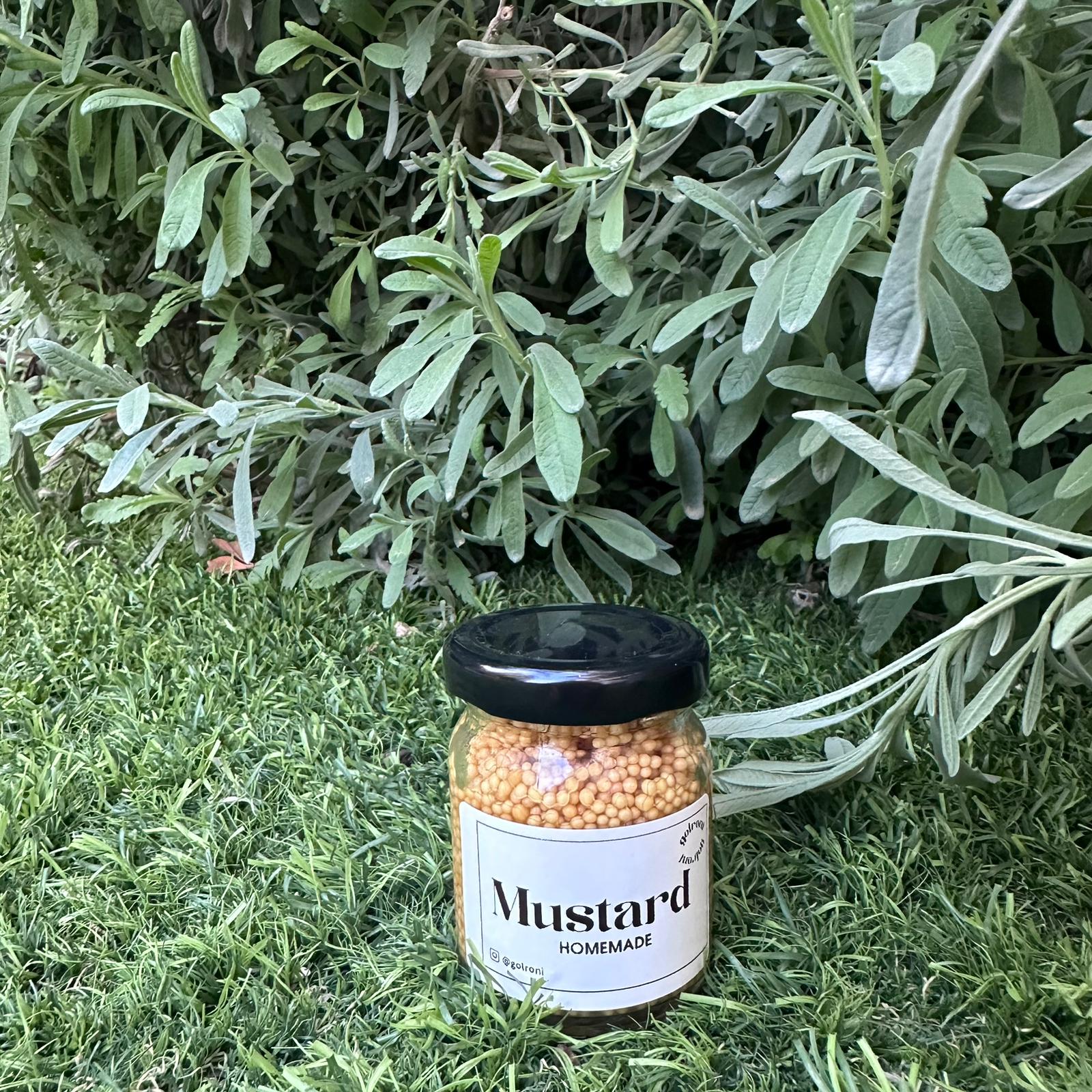 WhatsApp Image 2025 12 13 at 16.14.04