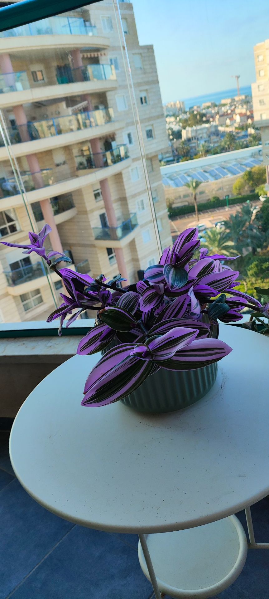 ec63d40b db80 4690 84dc e5f31adabaa4 1 all 305511