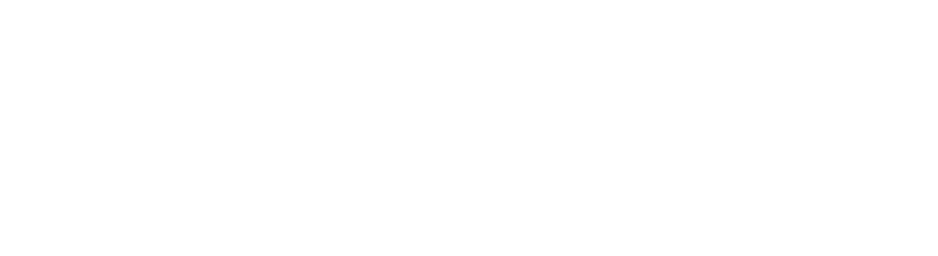 Spotify Full Logo RGB White
