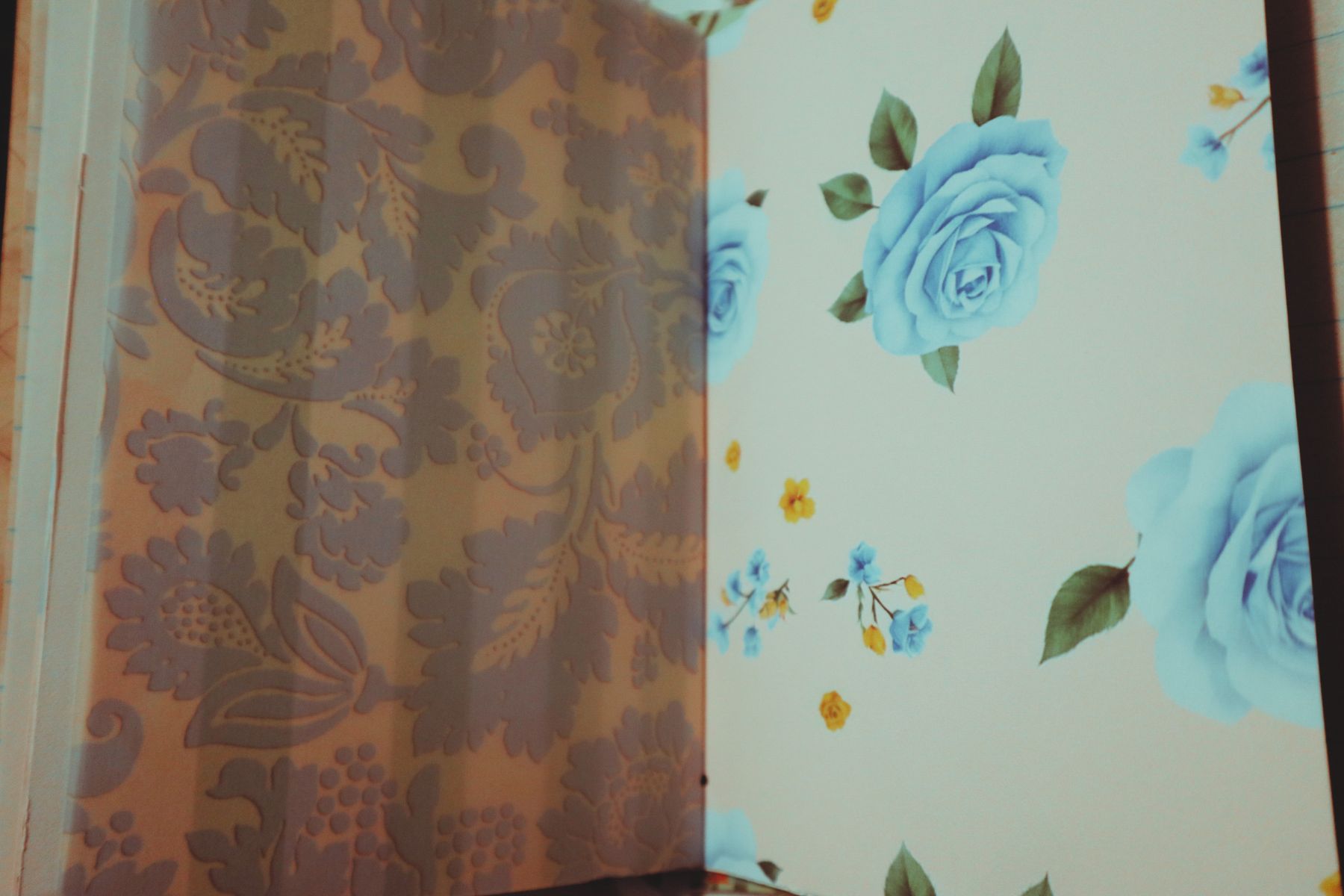 dc4a139b c5a8ce 0eda90f6f2ad4c059b2be557c680bed0 mv2