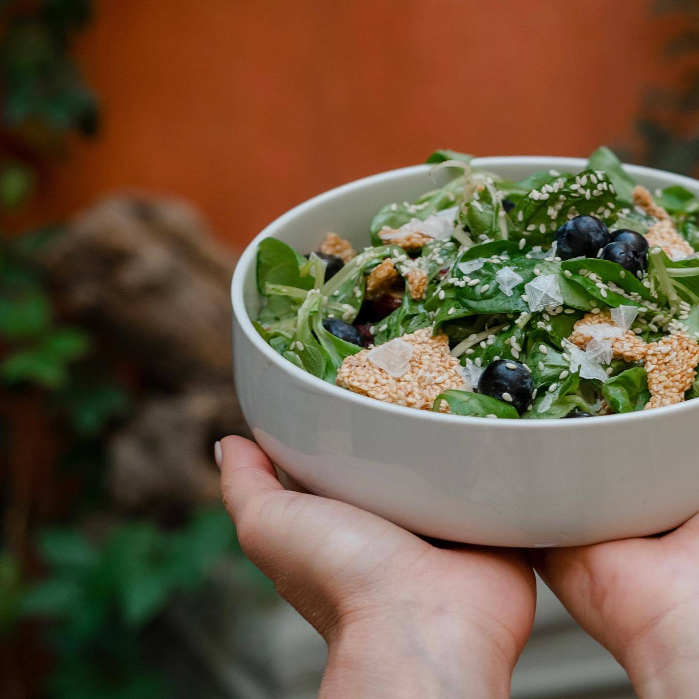 358958334 244999014949726 1060258680624384070 n