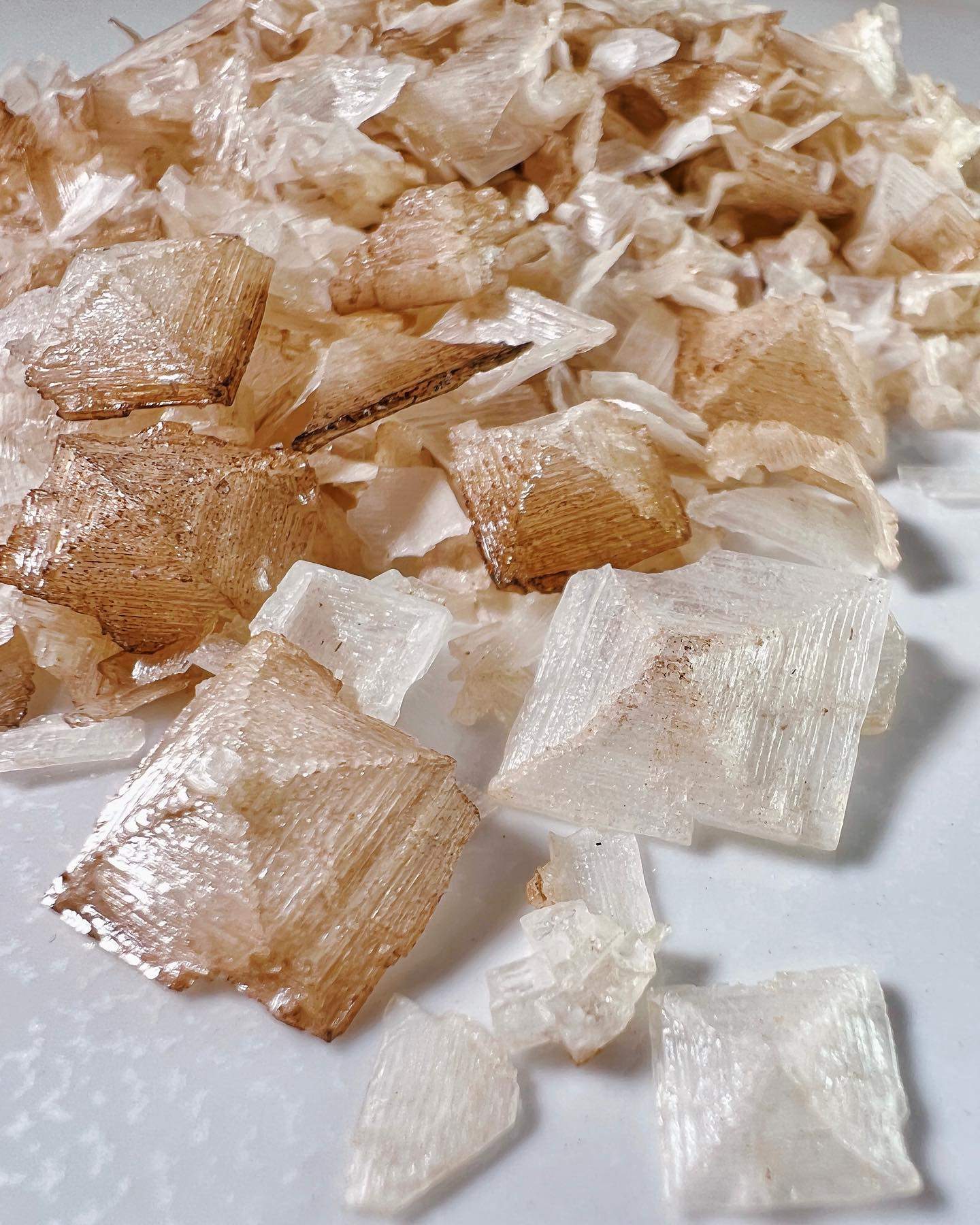 470140943 560398046614658 199290848343307286 n