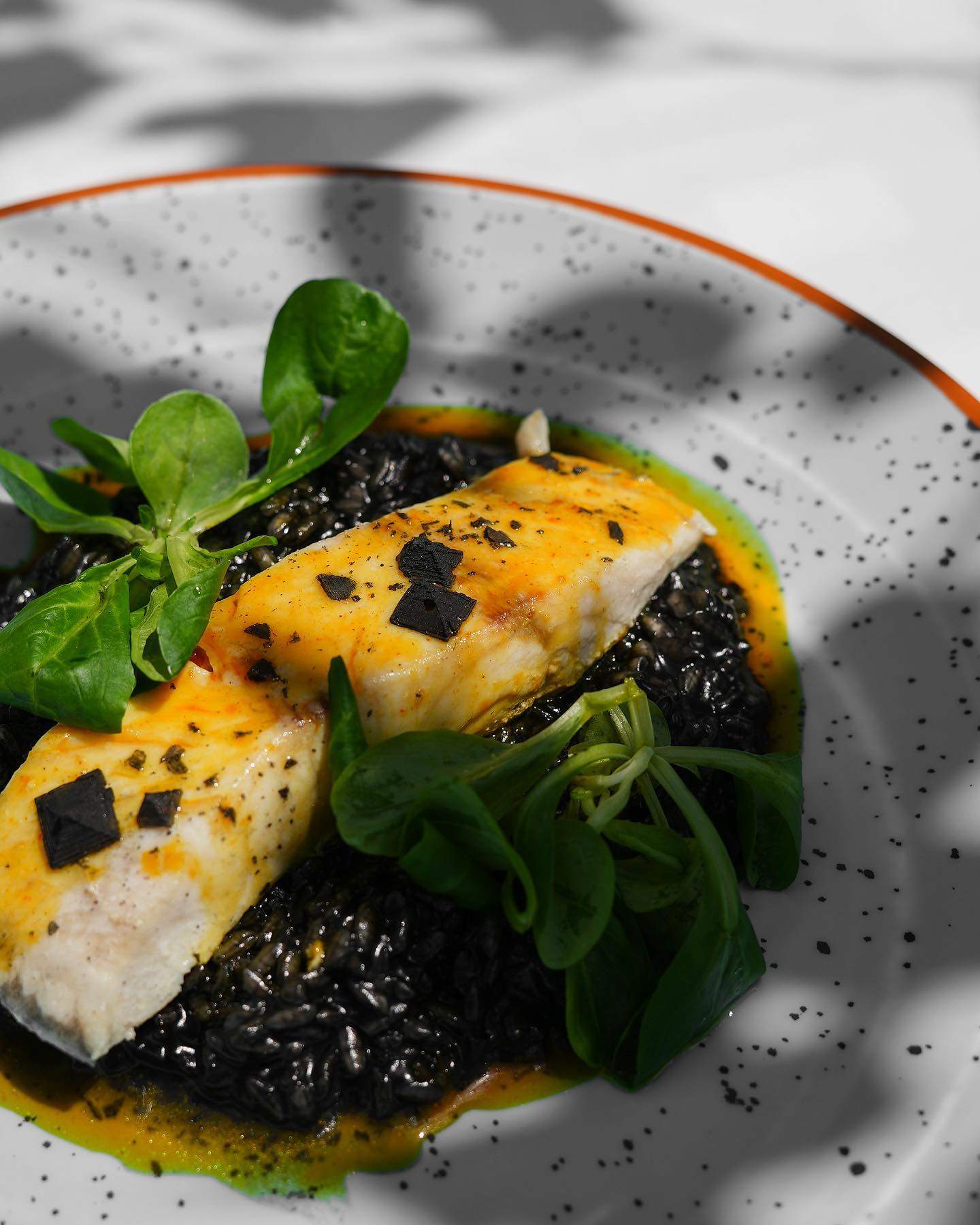 473567751 579725008015295 177610225757117547 n