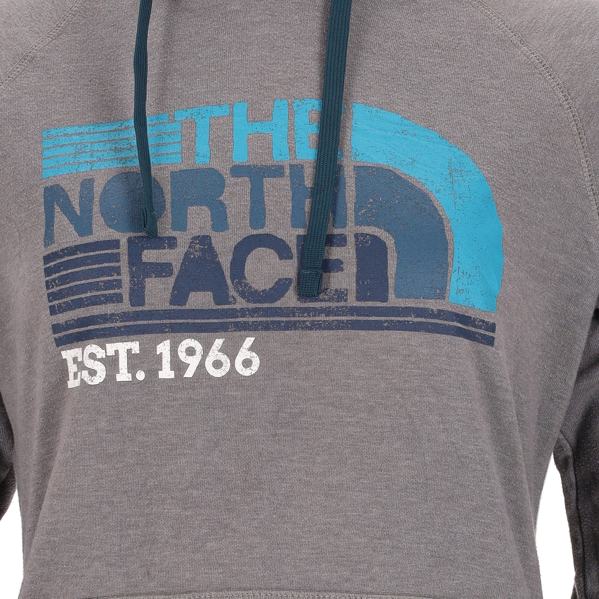 Sweat à capuche Femme  TNF Gris 6
