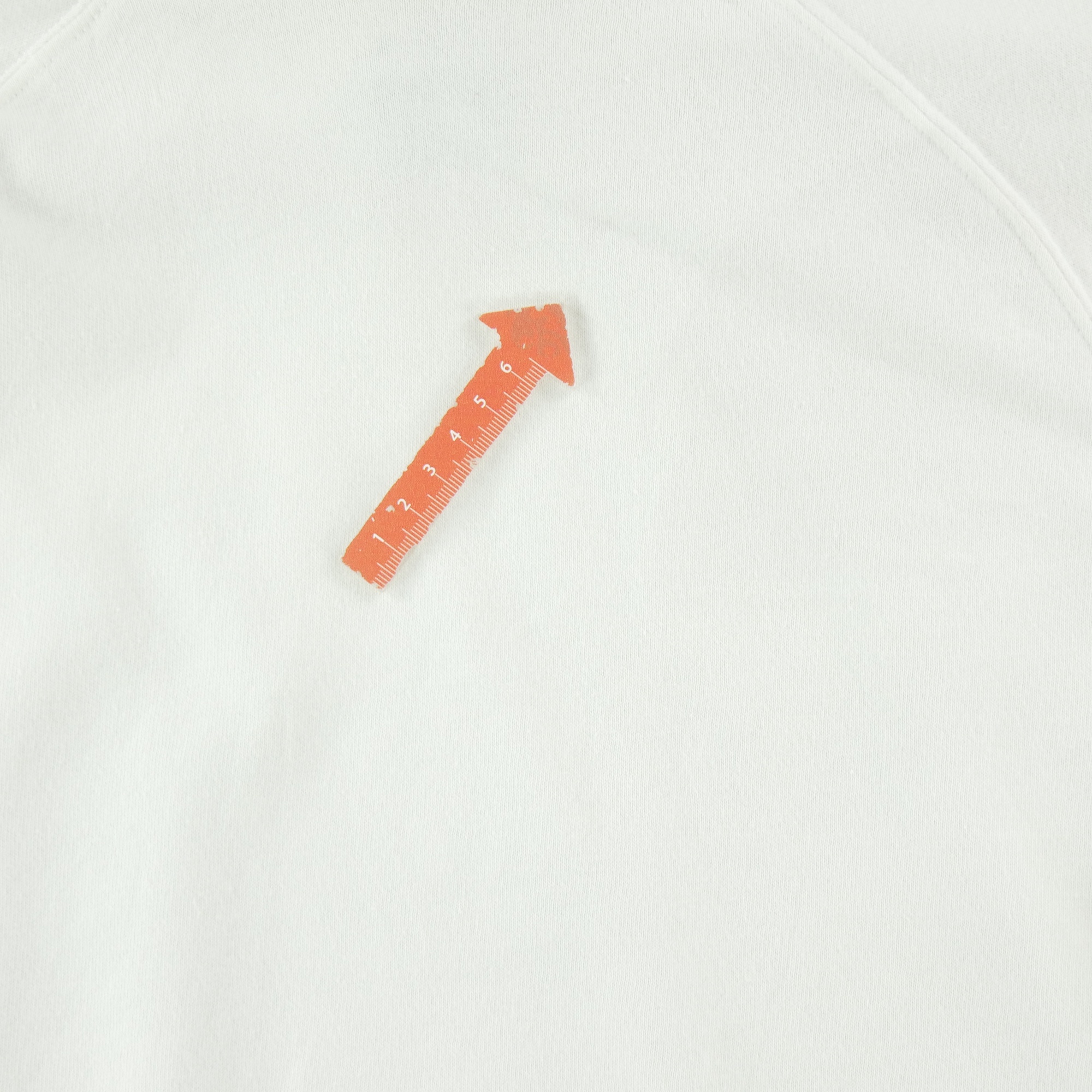 Sweat à capuche Femme  TNF Blanc 10
