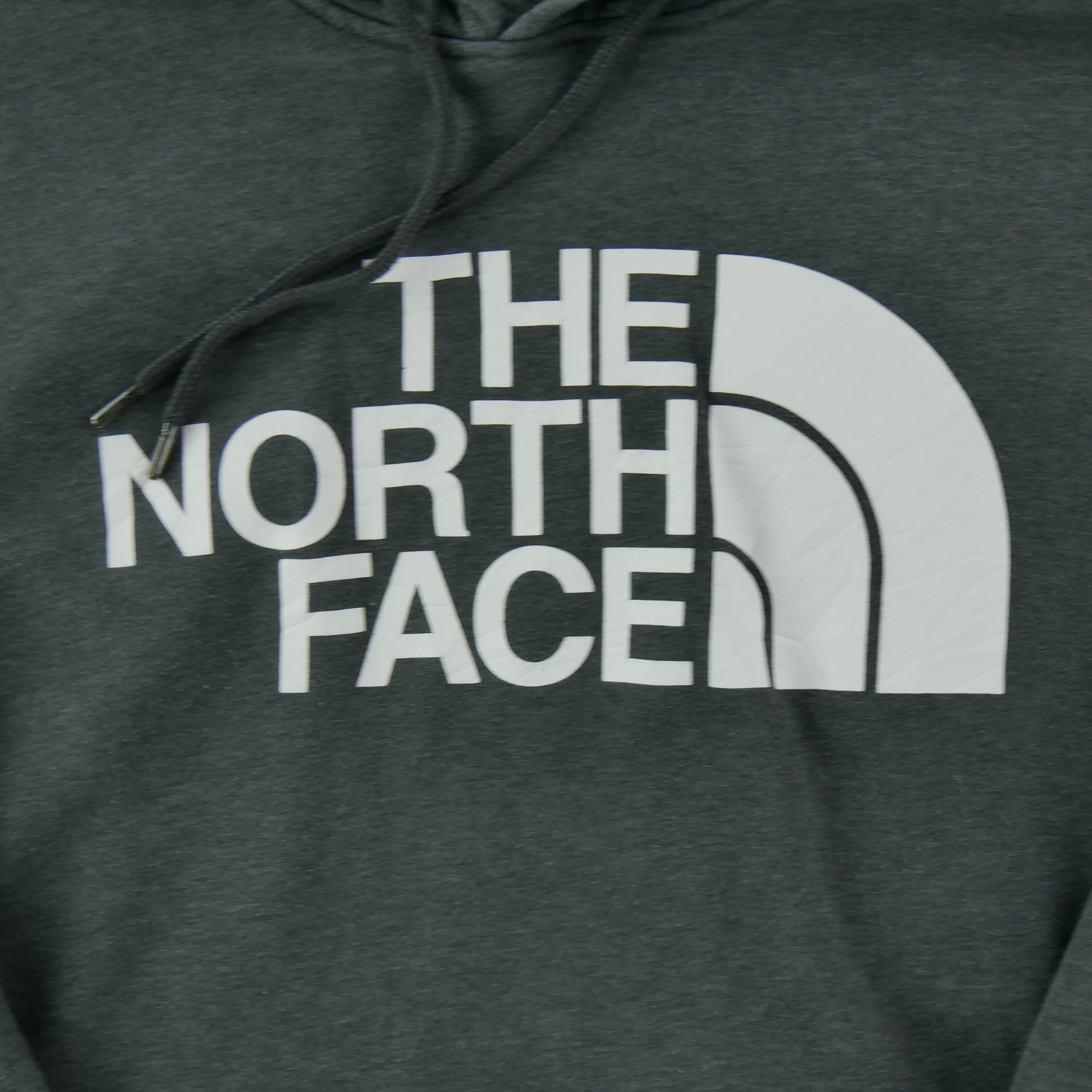 Sweat à capuche Homme  TNF Gris 3