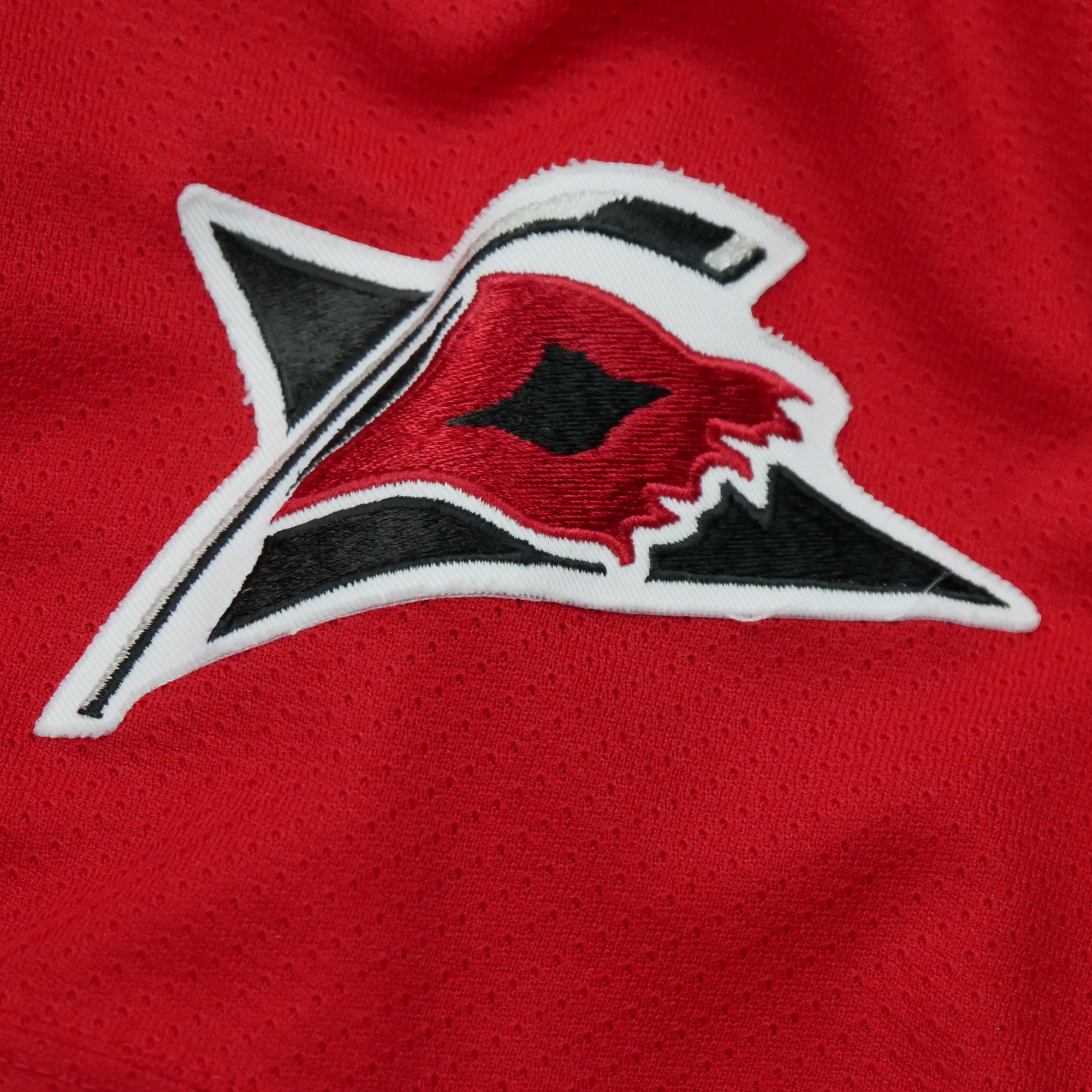 Maillot Homme NHL Carolina Hurricanes 10