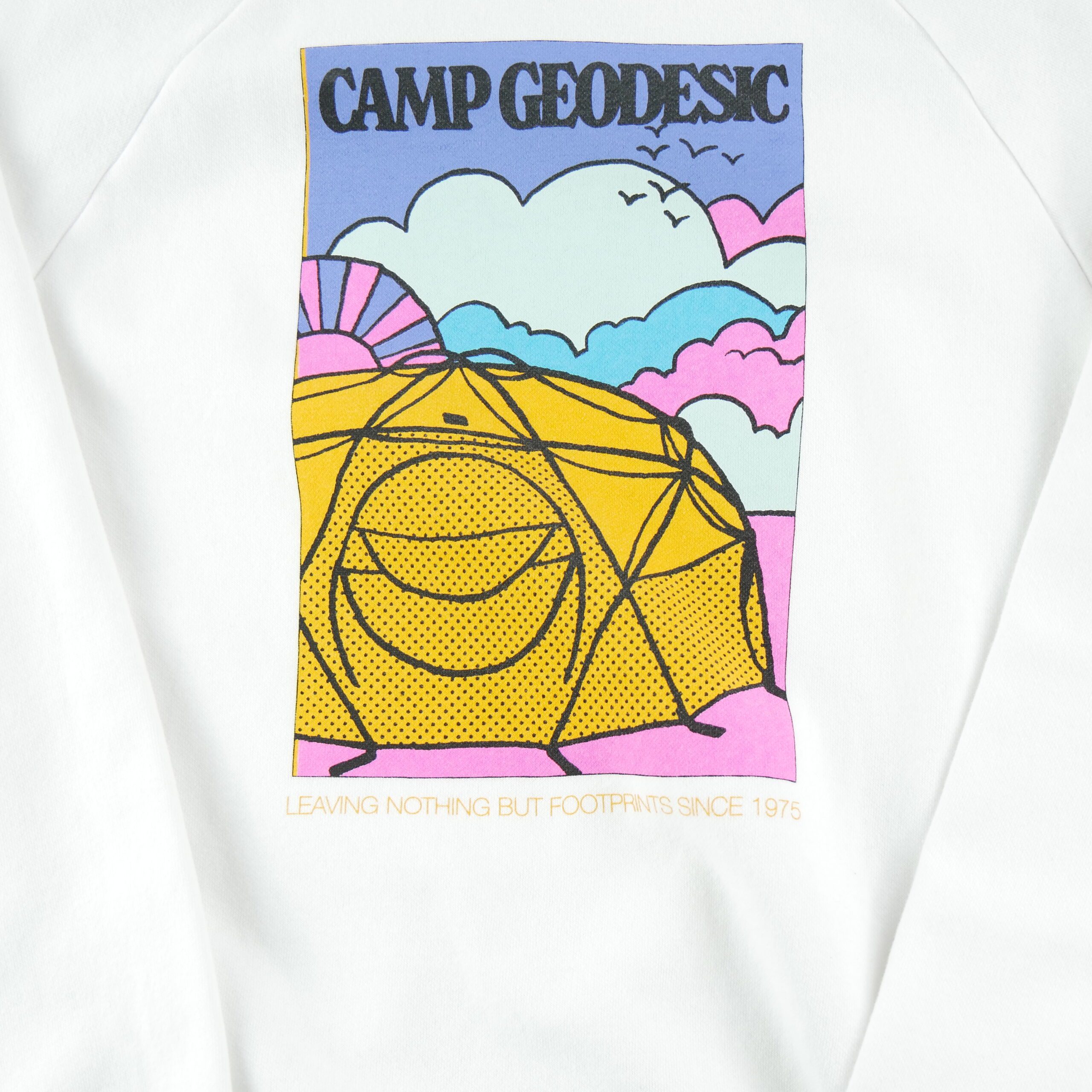 Sweat Femme  TNF Blanc 4